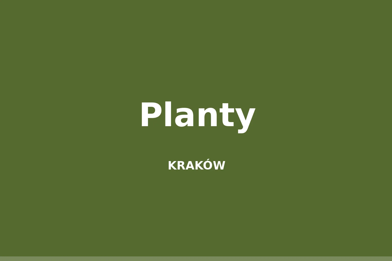 Planty